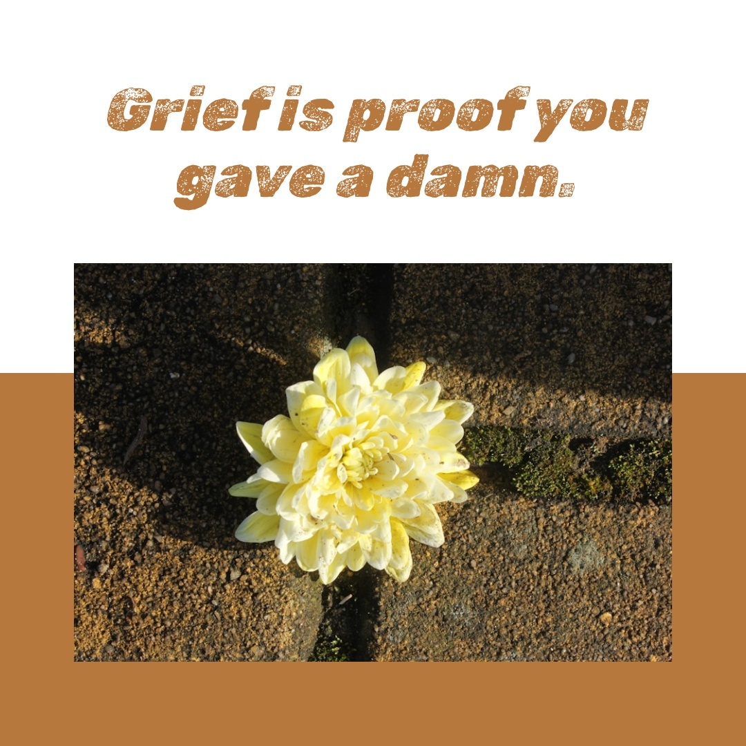 June_2025_Daily_Message-square-12-2